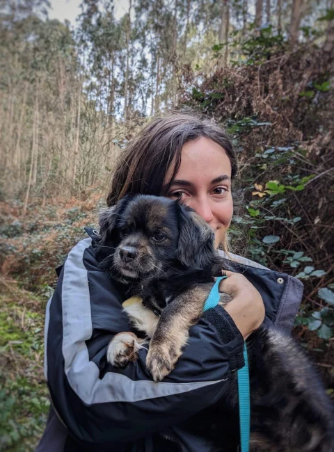 Cuidado de mascotas a domicilio en Las Rozas