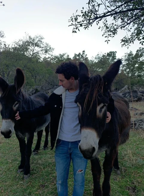 Cuidado de mascotas a domicilio en Las Rozas