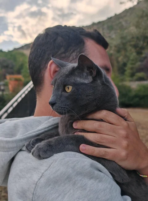 Cuidado de mascotas a domicilio en Las Rozas